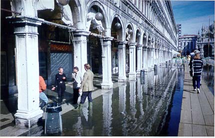 you can always tell the natives